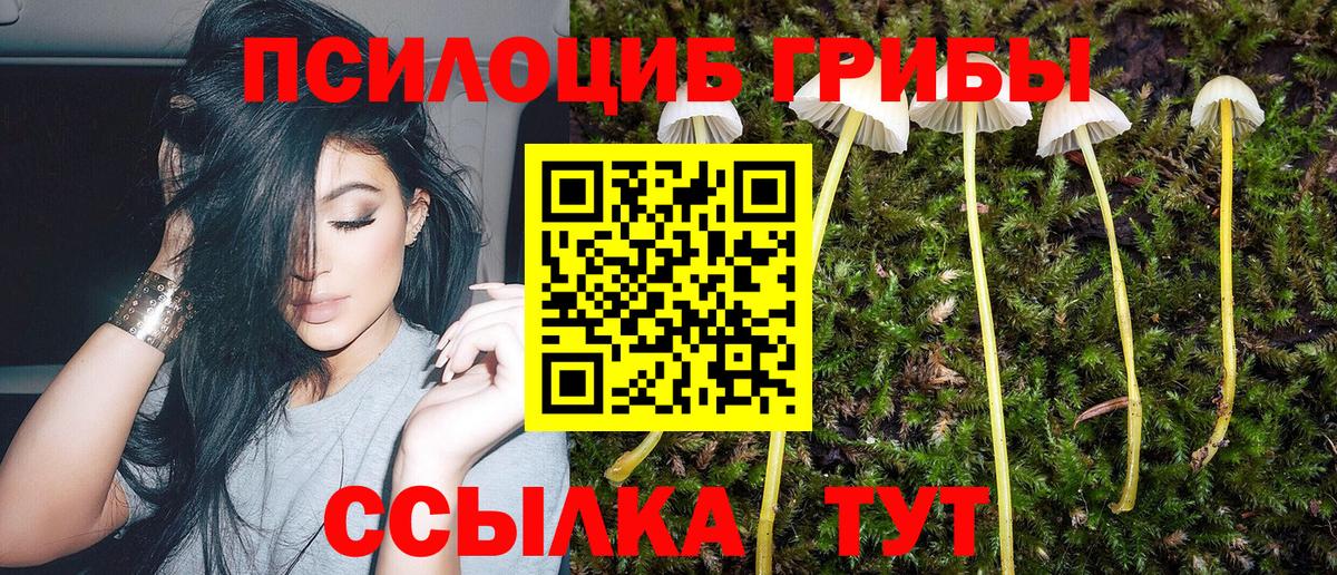 Петропавловск-Камчатский  Галлюциногенные грибы Psilocybine cubensis  цены   Вход с VPN 